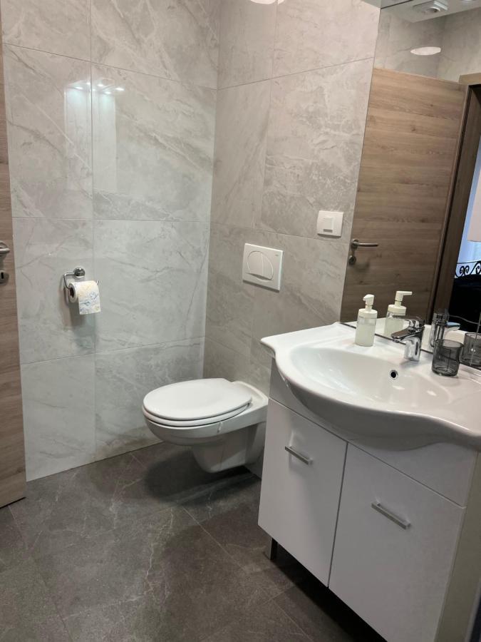 Stara Jezica Apartments With Wifi ليوبليانا المظهر الخارجي الصورة